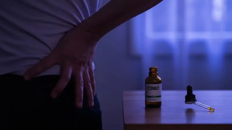 Cbd Et Reduction De La Douleur